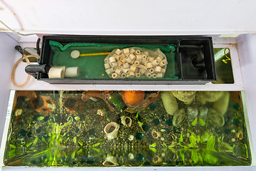 Image showing Remote filter system in the aquarium, under the aquarium cover