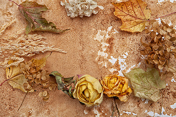 Image showing Autumn Leaves