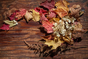 Image showing Autumn Leaves