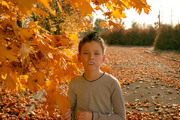 Image showing Boy in Autumn Park