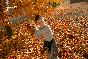 Image showing Boy in Autumn Park