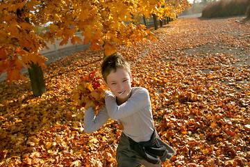 Image showing Boy in Autumn Park