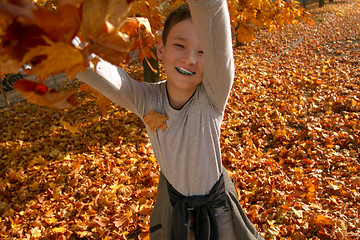 Image showing Boy in Autumn Park