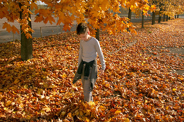 Image showing Boy in Autumn Park