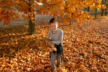 Image showing Boy in Autumn Park