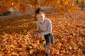 Image showing Boy in Autumn Park