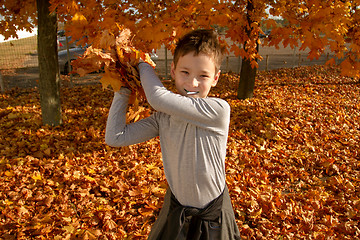 Image showing Boy in Autumn Park