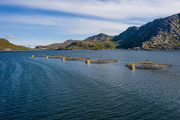 Image showing Farm salmon fishing in Norway