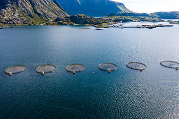 Image showing Farm salmon fishing in Norway