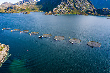 Image showing Farm salmon fishing in Norway