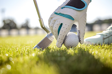 Image showing Hand in glove placing golf ball on tee