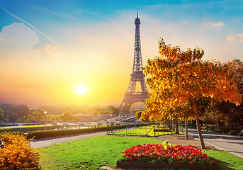 Image showing Flower and Eiffel Tower