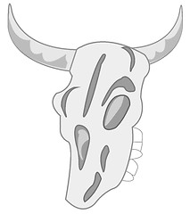 Image showing Skull animal on white background is insulated