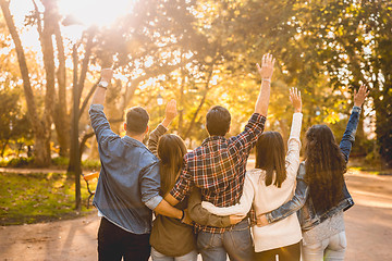 Image showing Group of friends in the park