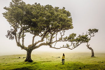 Image showing Just me and Nature