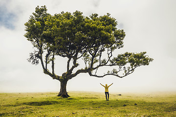 Image showing Just me and Nature