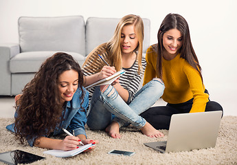 Image showing Girls studying at home 