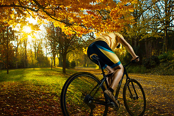 Image showing Bike at the summer sunset on the tiled road in the city park. Cycle closeup wheel on summer background.