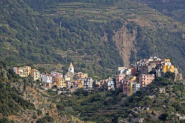 Image showing Corniglia Liguria