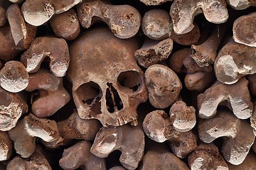 Image showing Skulls and bones in a wall
