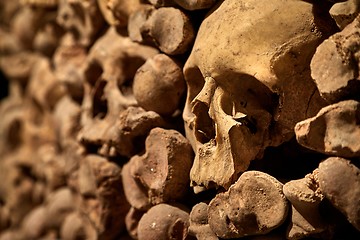 Image showing Skulls and bones in a wall