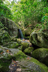 Image showing waterfall in Nosy Mangabe, Madagascar wilderness