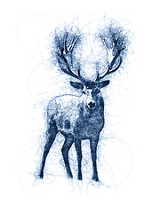 Image showing Great Deer Ballpoint Pen Doodle Illustration