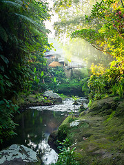 Image showing lush green garden with water in Bali Indonesia