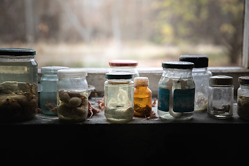 Image showing Jars filled with small embrios