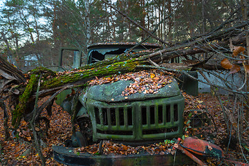 Image showing Fallen tree on abandoned truck left outside