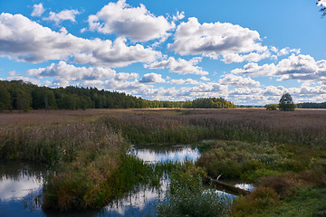 Image showing Narew River oxbow in fall