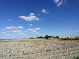 Image showing Corn harvesting in fall