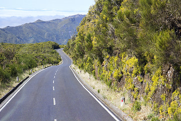 Image showing Road in Paul da Serra in Madeira