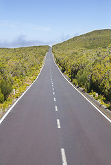 Image showing Road on Paul da Serra plateau in Madeira