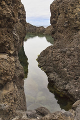 Image showing Natural lava rock pool in Porto Moniz in Madeira