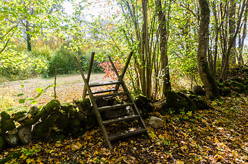 Image showing Wooden stile crossing an old stone wall by a trail in fall seaso