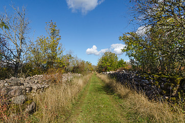 Image showing Footpath surrounded with old dry stone walls