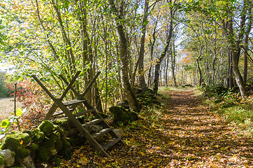 Image showing Wooden stile crossing a mossy stone wall by a trail in fall seas