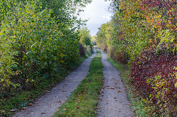 Image showing Country road with lush and colorful vegetation