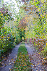 Image showing Colorful country road by fall season