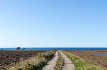 Image showing Straight dirt road to the coast