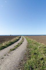 Image showing Country road to the coast