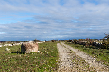 Image showing Dirt road i a great plain grassland