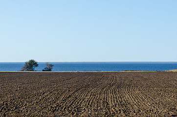 Image showing Straight ploughed rows in a field by the coast