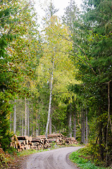 Image showing Timber stacks by roadside by fall season