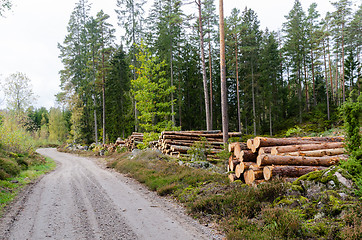 Image showing Timber stacks by a country road side