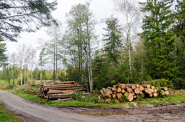 Image showing Timber stacks by roadside