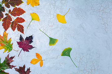 Image showing Beautiful autumn leaves on a gray background.