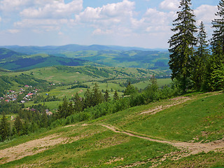 Image showing Mountain trail in Ukrainian Carpathians