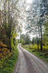 Image showing Gravel road in a deciduous forest by fall season